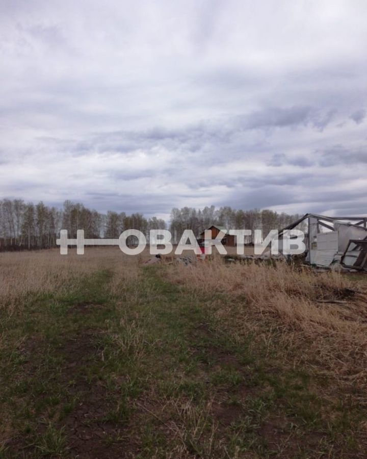 земля р-н Коченевский садовые участки Эко-городок, Чик фото 4