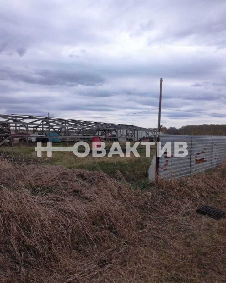 земля р-н Коченевский садовые участки Эко-городок, Чик фото 5