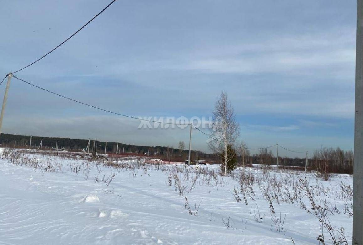 земля р-н Новосибирский снт тер.Сады Приобья Кубовинский сельсовет, Колывань фото 3