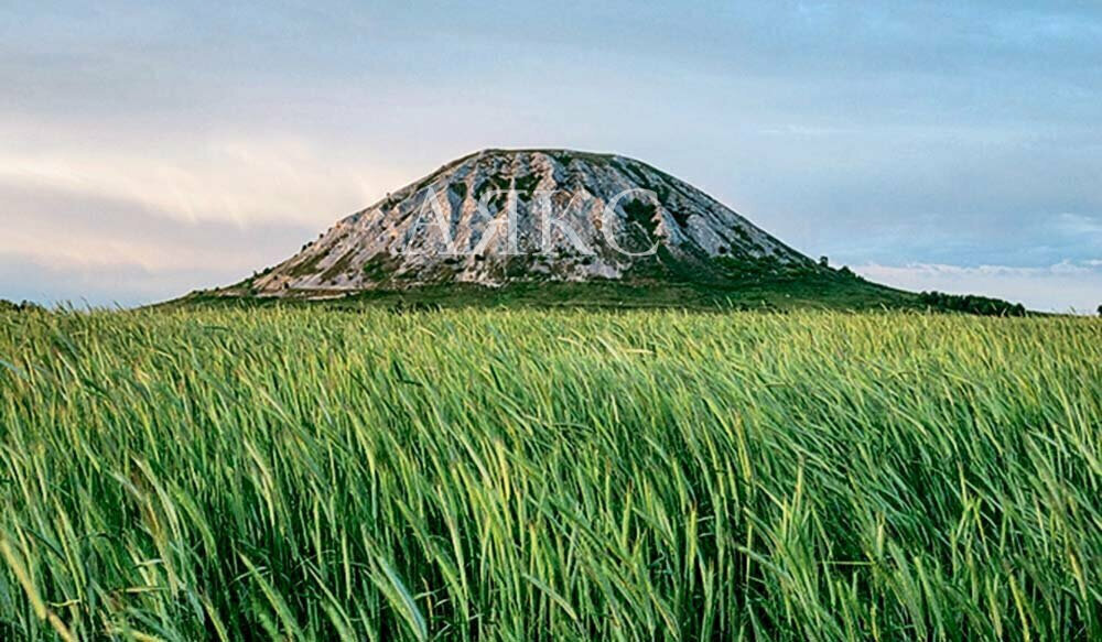 земля р-н Ишимбайский д Яр-Бишкадак ул Акбузат фото 1