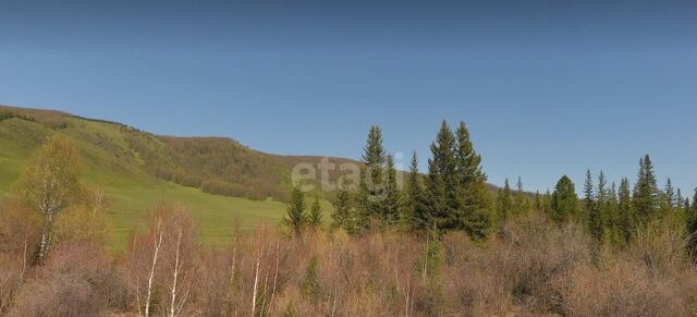 с Топучая ул Центральная Онгудай фото