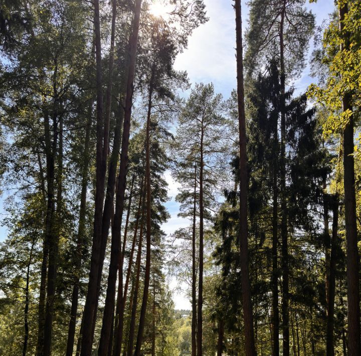 земля городской округ Люберцы рп Малаховка Малаховка фото 1