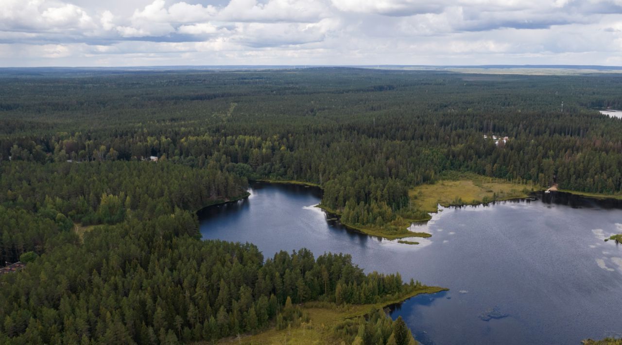 земля р-н Выборгский п Рощино пр-д Пойменный фото 3