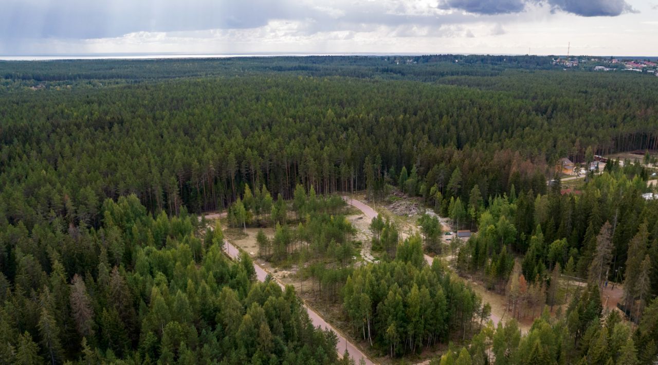 земля р-н Выборгский п Рощино пр-д Пойменный фото 5