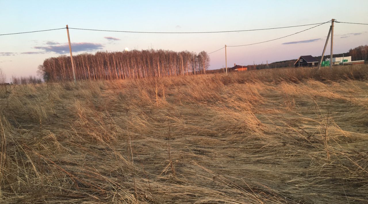 земля р-н Богородский д Крастелиха фото 4