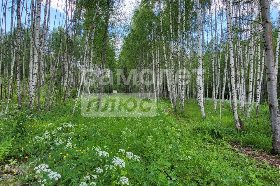 земля р-н Судогодский фото 4