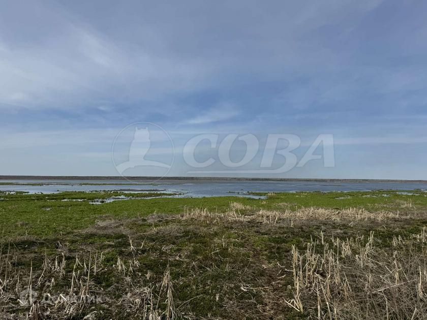 земля р-н Нижнетавдинский село Тюнево фото 3