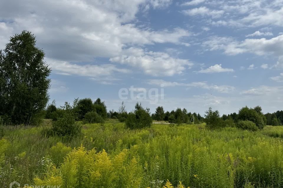 земля р-н Городецкий деревня Чуркино фото 4