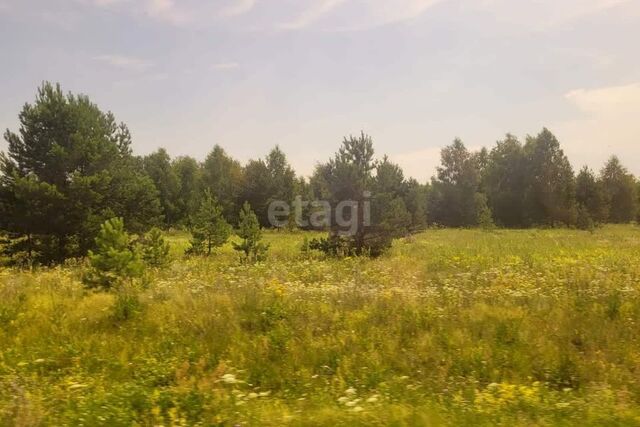 земля деревня Коржавино фото