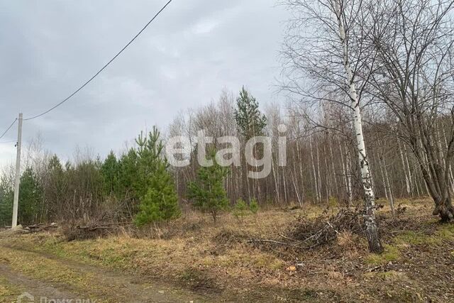 городской округ Дивногорск, массив Манская Гора фото