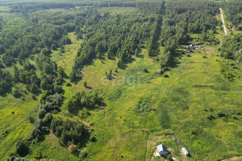 земля р-н Богородский деревня Инютино фото 1