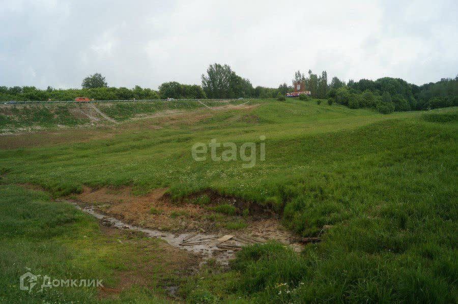 земля р-н Богородский деревня Инютино фото 1