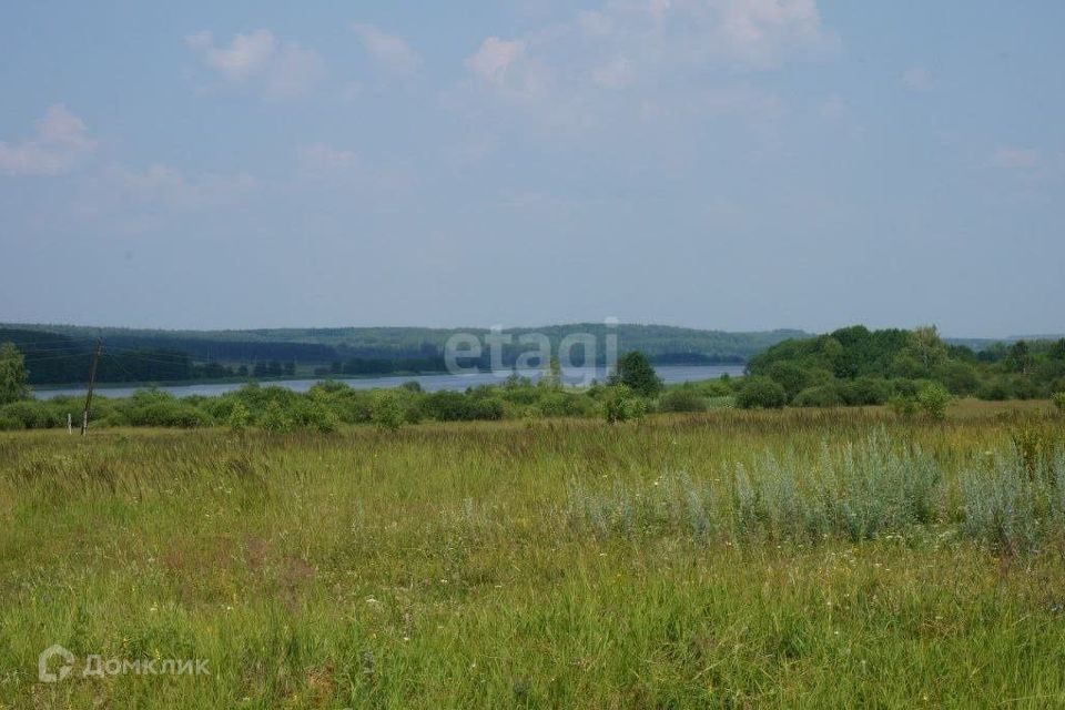 земля р-н Богородский деревня Инютино фото 2