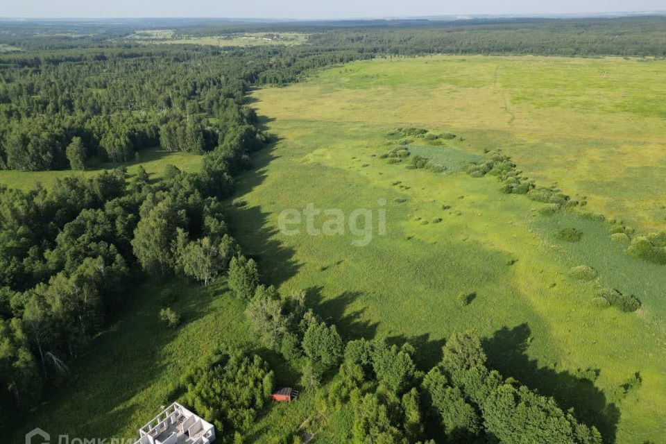 земля р-н Богородский деревня Инютино фото 2