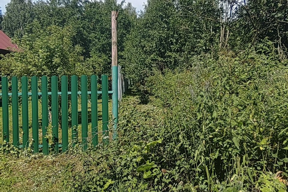 земля городской округ Бор, деревня Нагаево фото 3