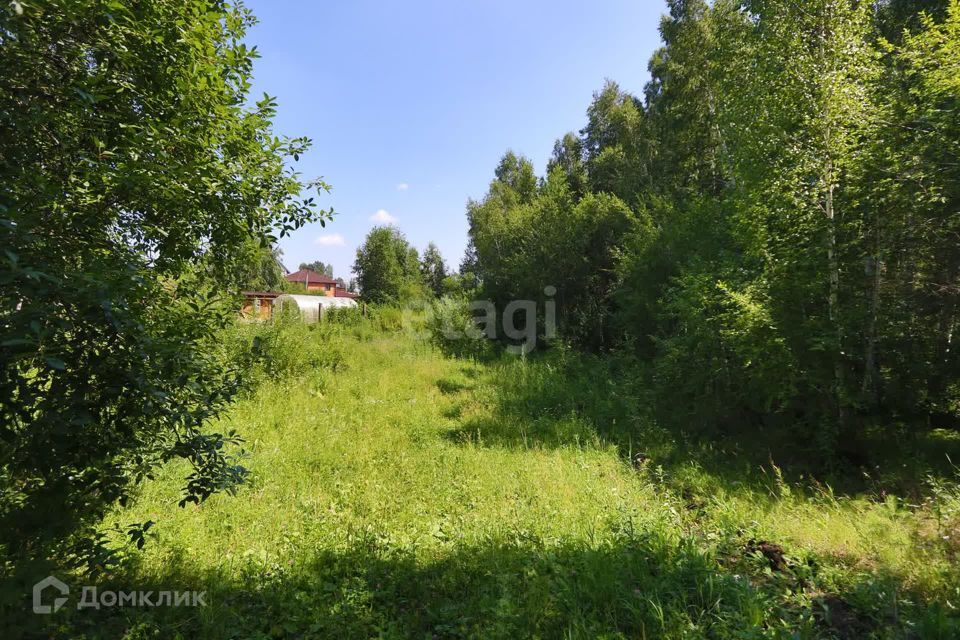 земля р-н Иркутский с Мамоны пер Полевой фото 5