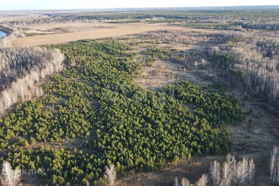 земля р-н Ленинский село Каменское фото 5