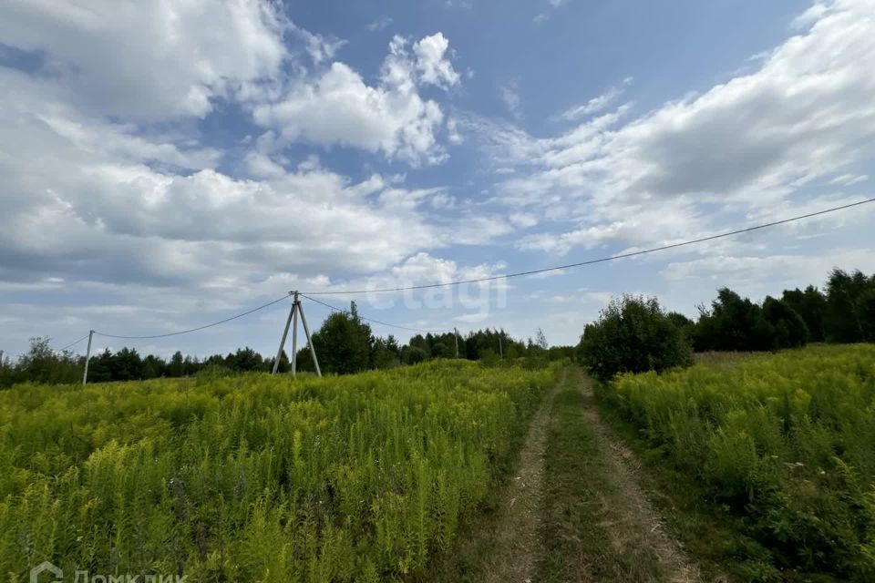 земля р-н Городецкий деревня Чуркино фото 10