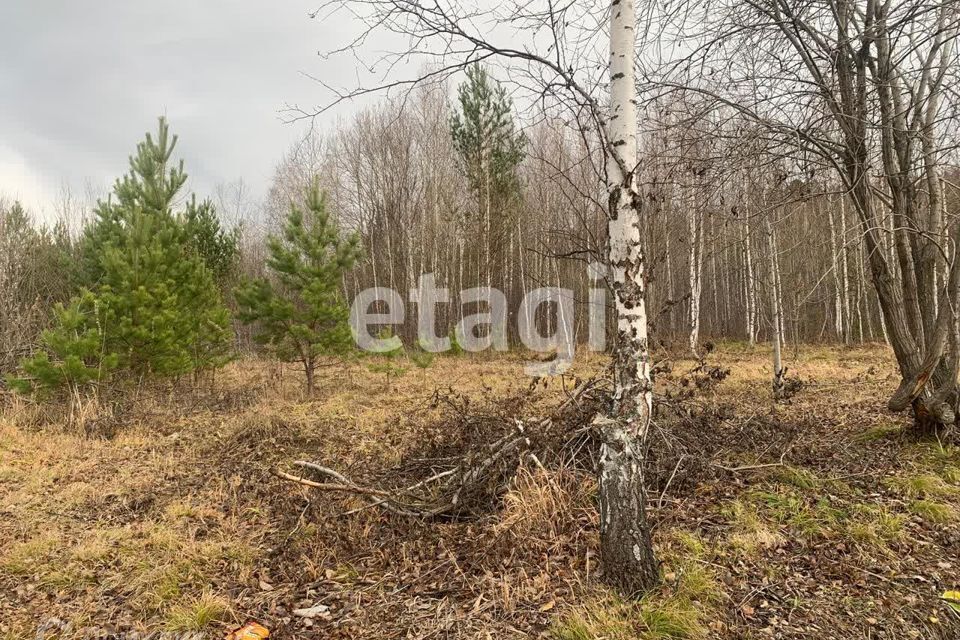 земля городской округ Дивногорск, массив Манская Гора фото 9