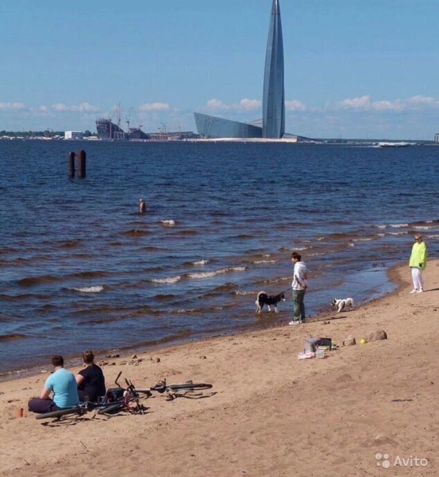 квартира г Санкт-Петербург метро Приморская ул Кораблестроителей 30 округ Остров Декабристов фото 6