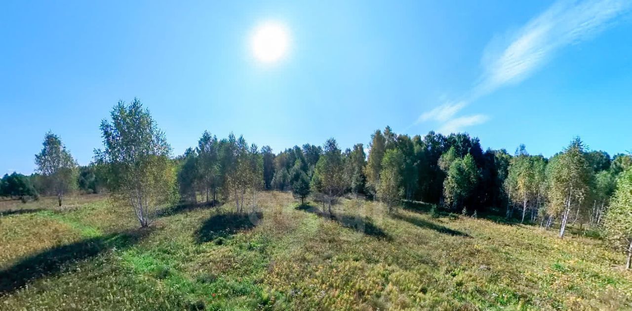 земля р-н Нижнетавдинский п Торгили фото 6