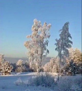 дом р-н Всеволожский д Мистолово Бугровское городское поселение, Парнас, проезд Ольховый, 6 фото 3