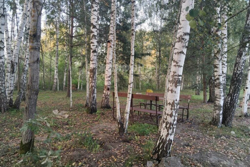 дом городской округ Орехово-Зуевский п Снопок Новый фото 21