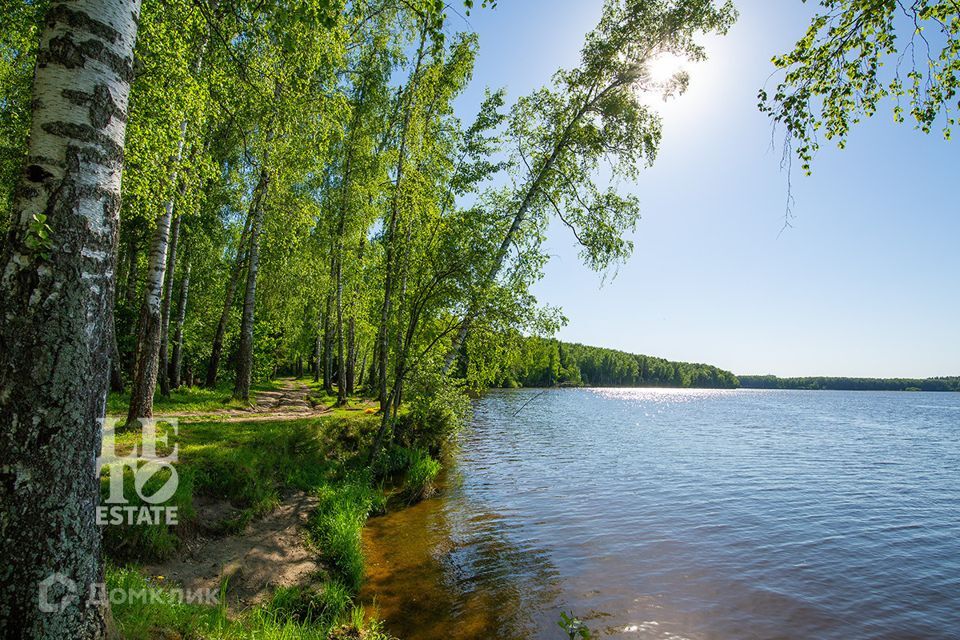 земля городской округ Мытищи деревня Степаньково фото 10