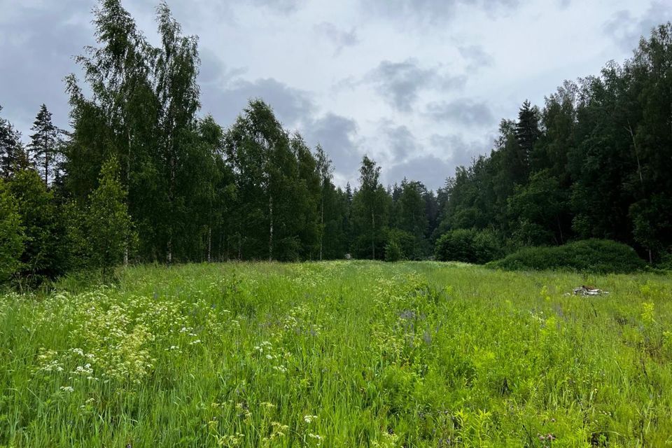 земля р-н Лужский д Средние Крупели ул Волочанская фото 10