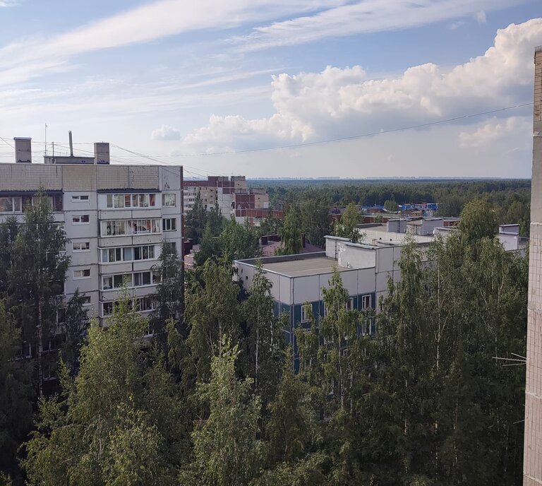 квартира р-н Всеволожский г Всеволожск ул Василеозерская 5 Ладожская фото 15