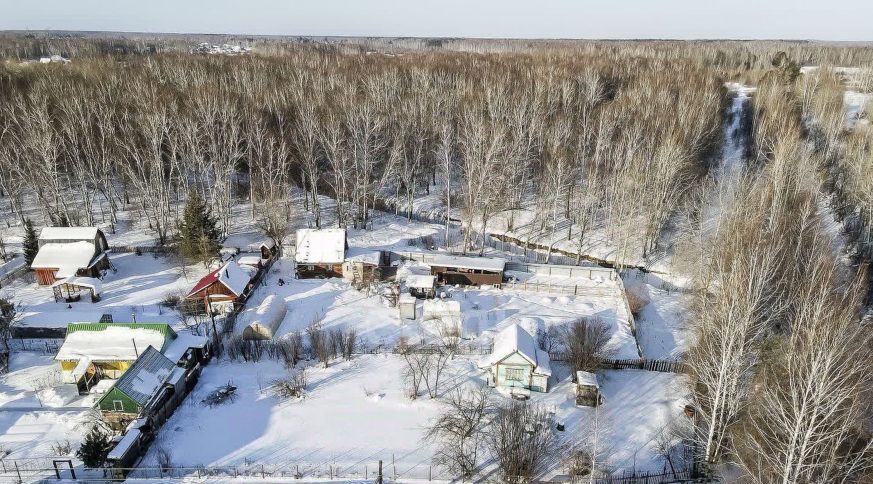 дом г Тюмень р-н Центральный снт Дубрава ул Садовая 253 фото 3