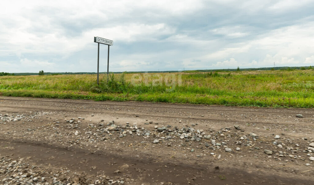 земля р-н Мишкинский с Восход ул Юбилейная фото 8