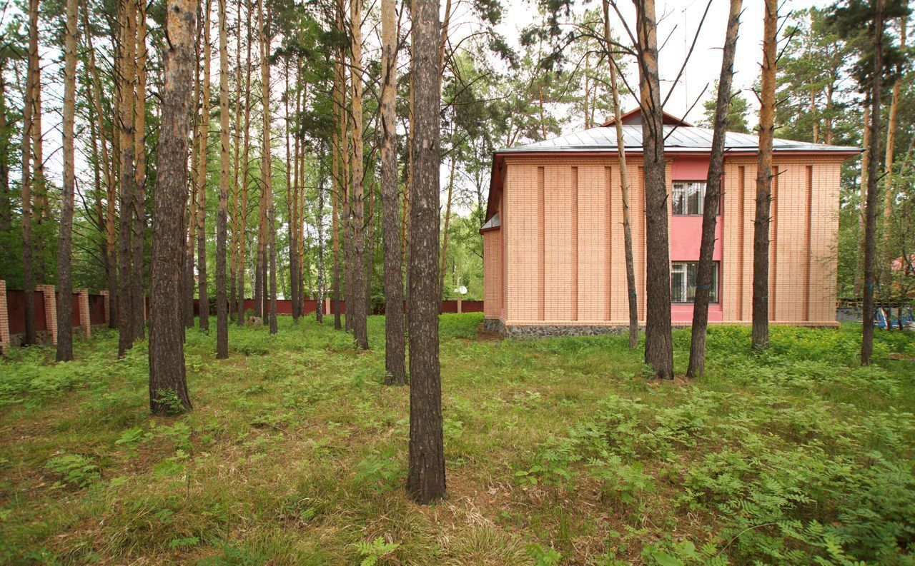 дом р-н Новосибирский дп Кудряшовский сельсовет, дп. Кудряшовский фото 1