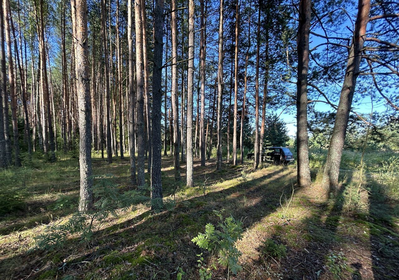 земля р-н Александровский д Афонасово Ярославское шоссе, 6 км, муниципальное образование Каринское, Карабаново фото 14