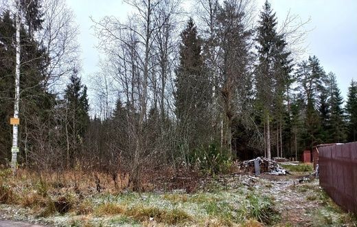 земля р-н Тихвинский п Берёзовик Трасса Вологда — Новая Ладога, Тихвинское городское поселение, Тихвин фото 1