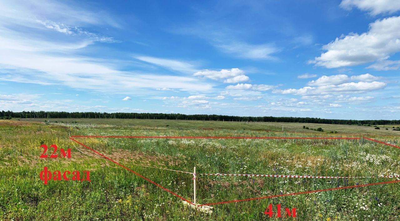 земля р-н Рамонский с Хвощеватка ул Песчаная 20а пос, Новоживотинновское с фото 3