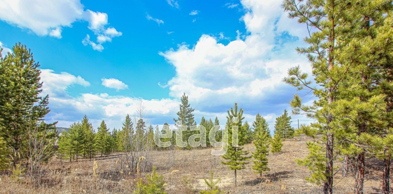 земля р-н Тарбагатайский Заводское муниципальное образование, Кедр ДНТ фото 10