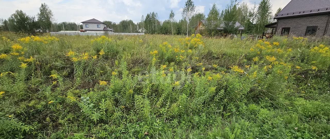 земля р-н Новосибирский п Двуречье Барышевский сельсовет, Барышево фото 15