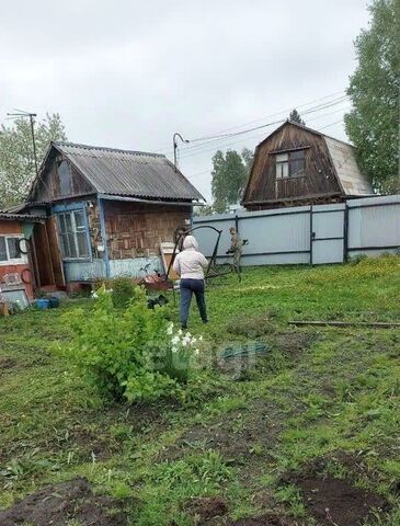 Берёзовая роща аллея Е, 88 фото