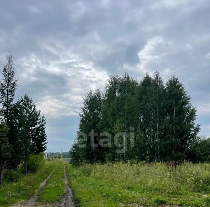 земля р-н Уфимский д Рождественский сельсовет, Кирилловский фото 8