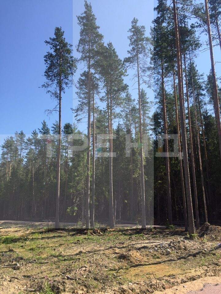 земля р-н Выборгский городской поселок Рощино, Пойменный проезд фото 3