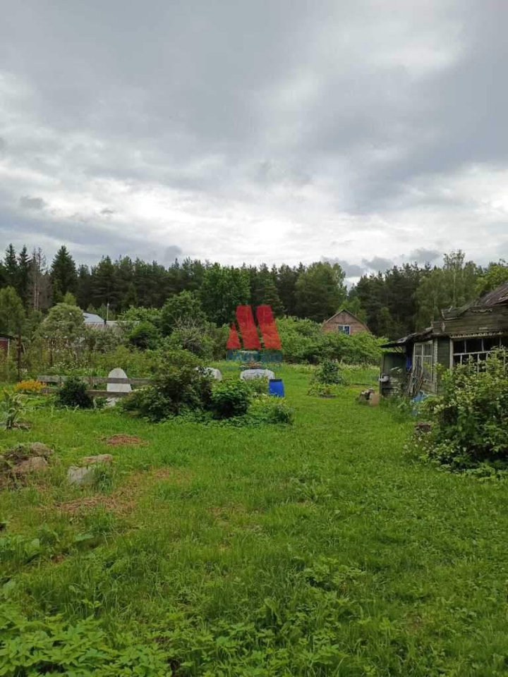 земля р-н Ярославский п Козьмодемьянск ул Лесная фото 12