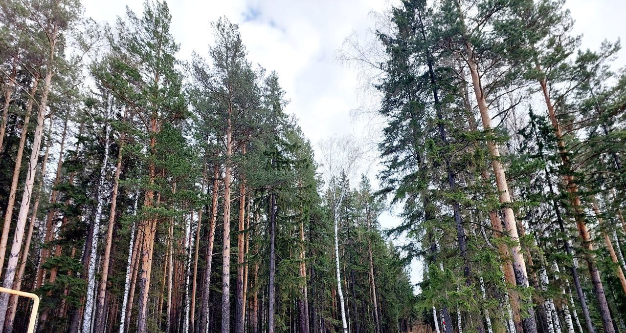 дом р-н Невьянский п Таватуй Невьянский городской округ фото 7