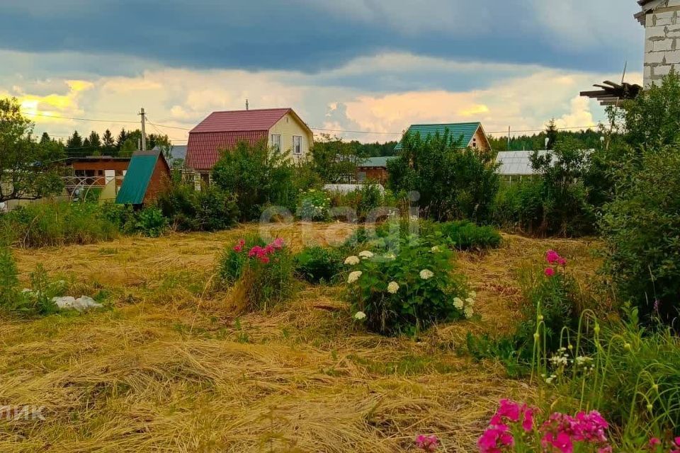 земля р-н Костромской СНТ Весна фото 1