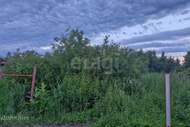 снт Липки городской округ Тюмень фото