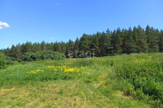 село Козьмодемьяновка Лысогорский сельсовет фото