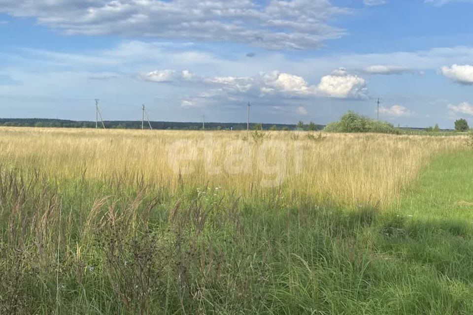 земля р-н Гурьевский посёлок Заречье фото 3