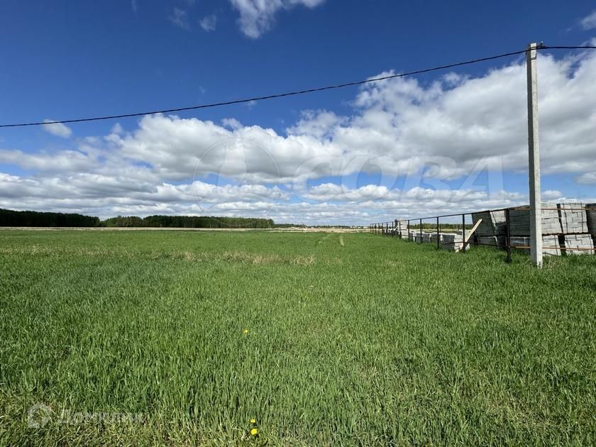 земля р-н Тюменский село Каменка фото 2