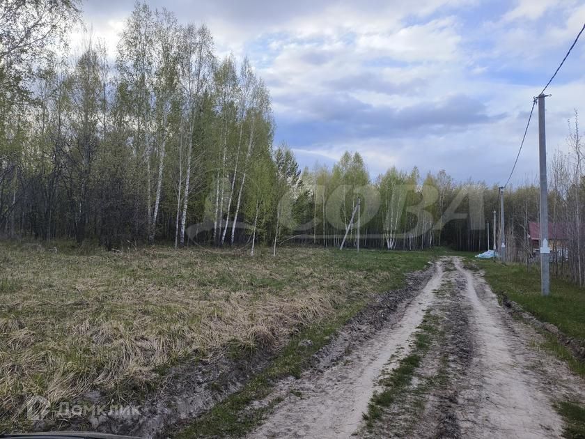 земля р-н Нижнетавдинский фото 2