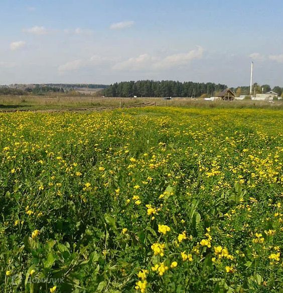 земля р-н Высокогорский Республика Татарстан Татарстан, село Усады фото 4